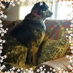 Kathy Copp Gresham - @kc.gresham - Instagram