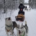 Kathy Coppens - @kathy.coppens.5 - Instagram