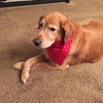 Kathy Corder - Facebook