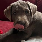 Kathy Cormier - @kathy.robertscormier - Instagram