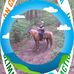 Kathy Cormier - Facebook