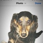 Kathy Cormier-Bergeron - @kmbergeronstvure - Instagram