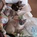 Kathy Cothran - Facebook