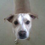 kathy - @kathy_cothran01 - Instagram