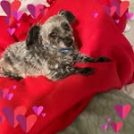Kathy Cottam - @cottam.kathy - Instagram