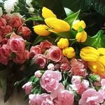 @kathycottage - Instagram