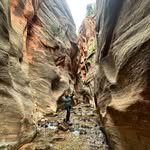 Kathy Cottle Sholly - @ksholly - Instagram