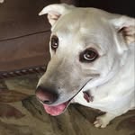 Kathy - @kathycounts1 - Instagram
