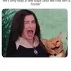 Kat Coyer - @katcoyer - TikTok