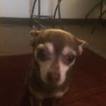 Kathy Craft - @klc_62 - Instagram