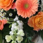 Kathy Crank - @kathy.crank.73 - Instagram