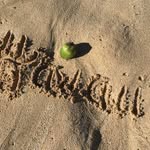 Kathy Crankshaw - @crankshawkathy - Instagram