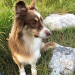 Kathy Crase - @kathycrase - Instagram