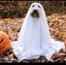 Kathy Creech - Facebook