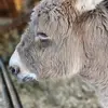 Kathy Creech - @kathy.creech7 - TikTok