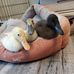 Kathy Creegan - Facebook
