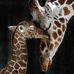 Kathy Creeley - Facebook