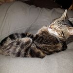 Kathy Cresta - @kittycat37c - Instagram