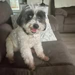 Kathy Crews - @kcrews59 - Instagram