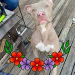Kathy Crews - @kathyhuggins63 - Instagram