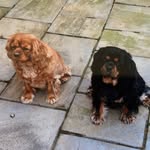 Kathy Crick - @kathy.crick - Instagram