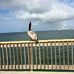 Kathy Crick - Facebook