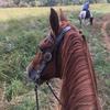kathycrick544 - @kathycrick544 - TikTok