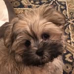Kathy Crisler - @kathy.crisler.35 - Instagram