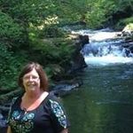 Kathy KatDog Crispell - @kathycrispell - Instagram