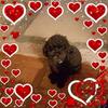 Kathy K Crist - @kathykcrist - TikTok