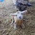 Kathy Critser - Facebook