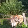 kathycromer230 - @kathycromer230 - TikTok