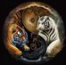 Kathy Grovell - Facebook