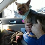 Kathy Crowe - @katby1953 - Instagram