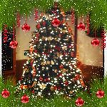 Kathy Crowe - @kathy.crowe.9 - Instagram
