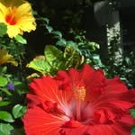 Kathy Crowe - @kmcrowe0 - Instagram