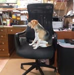 Kathy Croy - Facebook