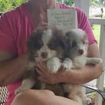 kathy culler - @kathy.conradculler - Instagram