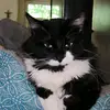 kathycumberledge - @kathycumberledge - TikTok