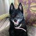 Kathy Talbot Curfman - Facebook