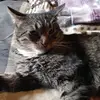 Kat - @kathycurtis88 - TikTok