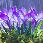 Kathy Curtis - @kathy.curtis.733 - Instagram