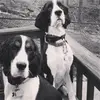 Kathy Curtis - @kathy.curtis35 - TikTok