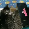 kathycurtiss - @kathycurtiss - TikTok
