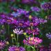 Kathy Cutsforth Spence - Facebook