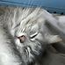 Kathryn Darrah - Facebook