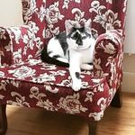 Kathy Deane - @deanekathy2018 - Instagram