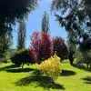 Kathy Dear - @kathy.dear - TikTok