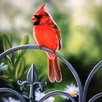 Kathy DeArmond King - @kdkcfw81 - Instagram