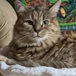 Kathy DeBoard - @kathy.deboard.7 - Instagram